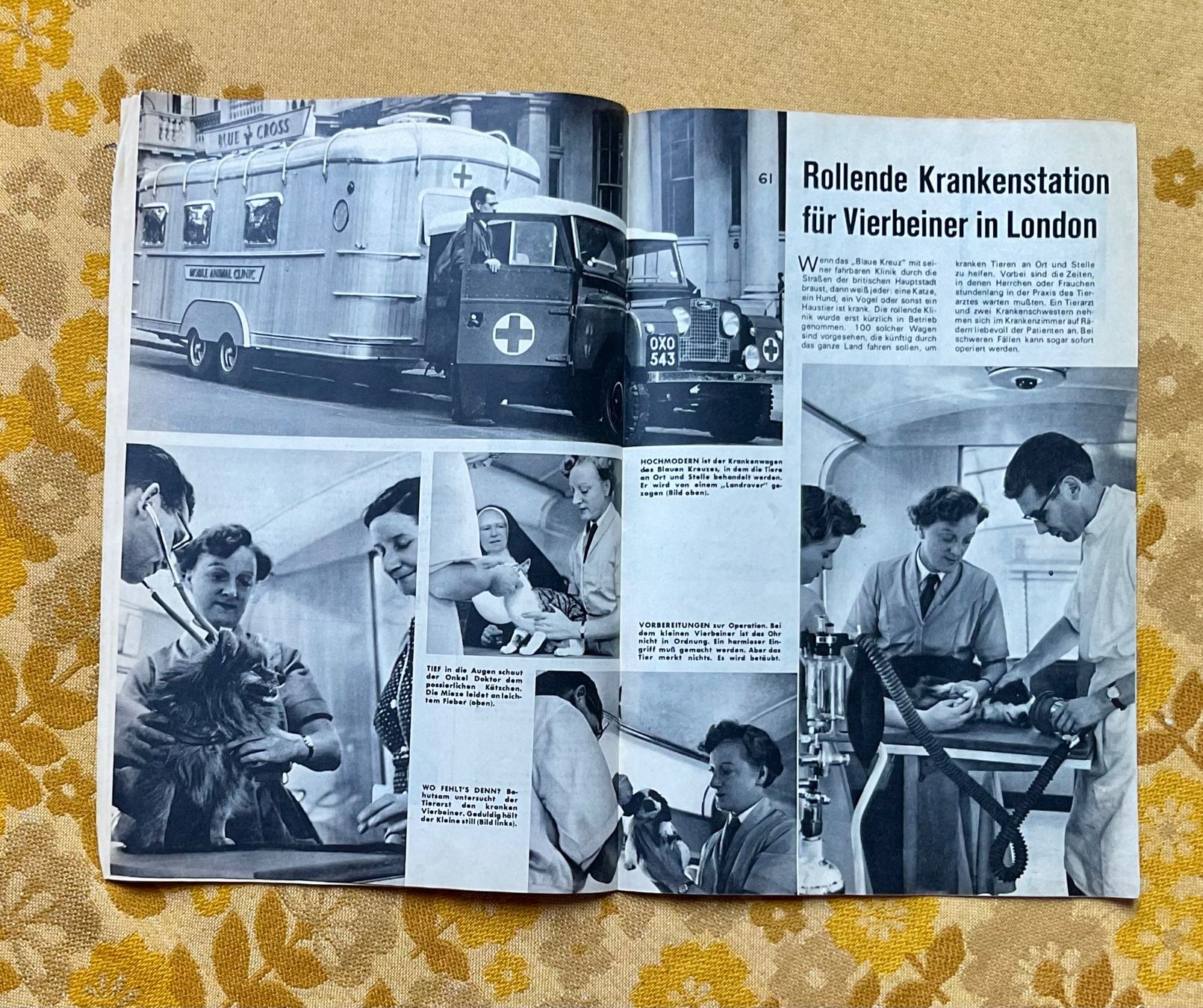 Fumetti: Micky Maus Heft Nr 2 von 1969 – Usato da Endingen venduto da nathan05 6