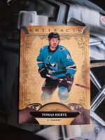 NHL Tomas Hertl San Jose Sharks