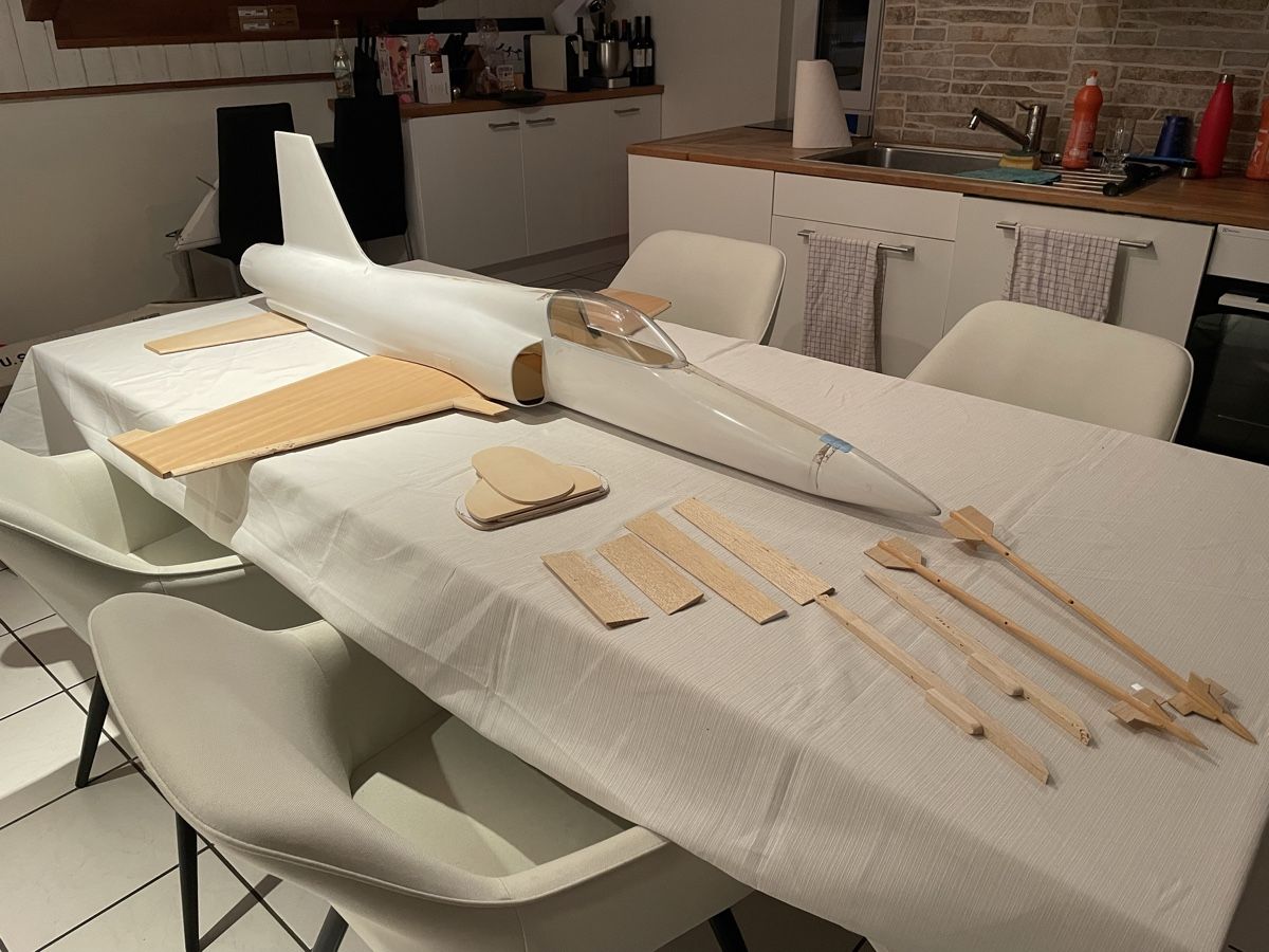Modellismo RC: F-20 Tigershark Impeller – Usato da Rothrist venduto da Sisonsu