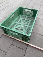 Gemüse/Obstkisten G2