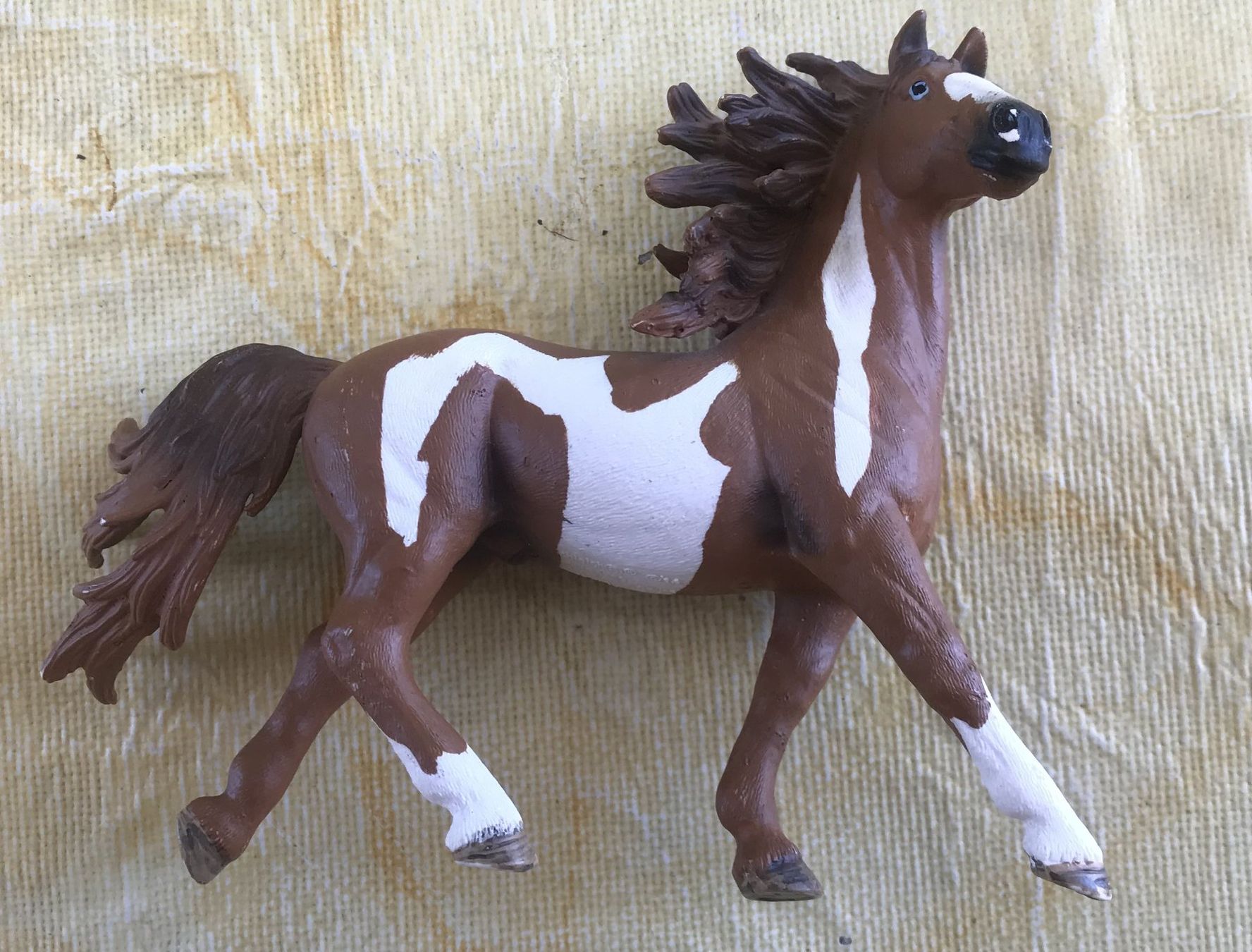 Schleich Statuette: SCHLEICH PFERD – Usato da Ostermundigen venduto da wini63 1