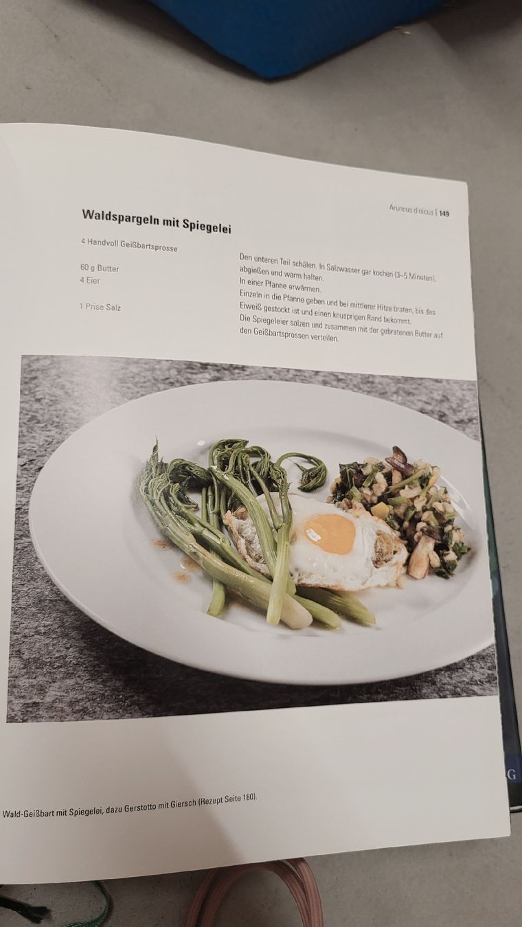 Libri: Meine wilde Pflanzenküche – Usato da zürich venduto da wuscheli0102 4