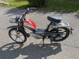 Sachs Pony 503