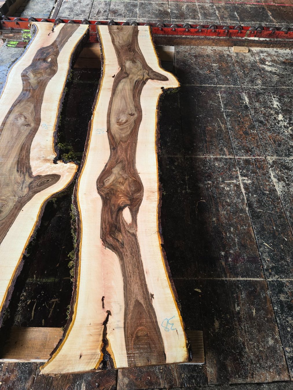 Articoli in legno: Nussbaumbrett Nr. N85 – Nuovo (secondo la descrizione) da Ramsei venduto da Waelchris 1