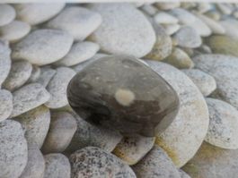 Almandin in Matrix Heilstein