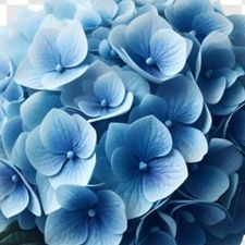 Profile image of Hope_2026