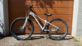 Mountain Bike Jugend Velo