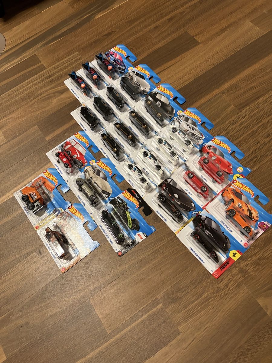 Hot Wheels Modellini d'auto: Hot Wheels Case H 25 Stück – Nuovo e nell'imballaggio originale da Freidorf TG venduto da P.Saui 1