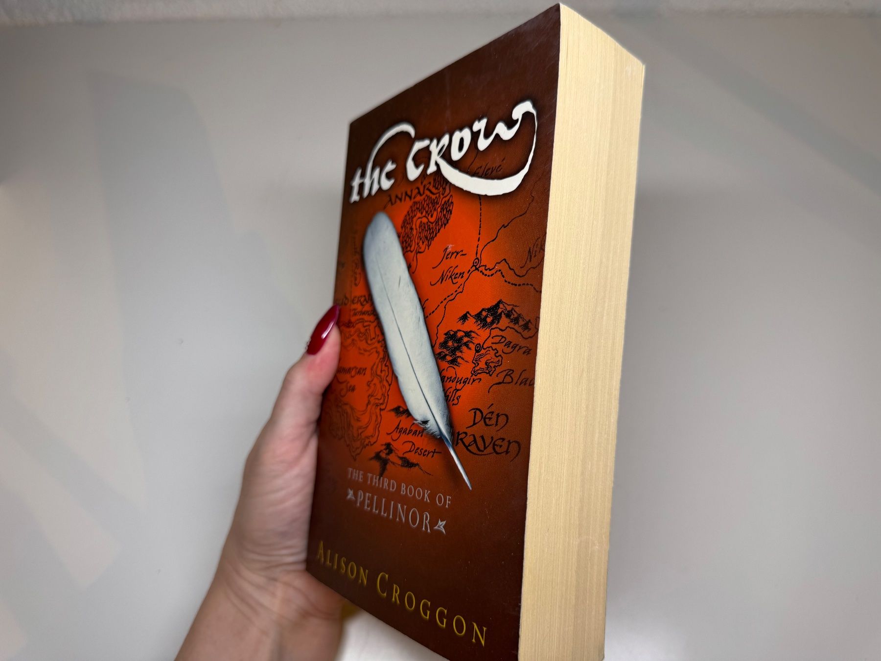 Libri: NOVEL: Alison Groggon, The Crow – Usato da Grosswangen venduto da English_books 1