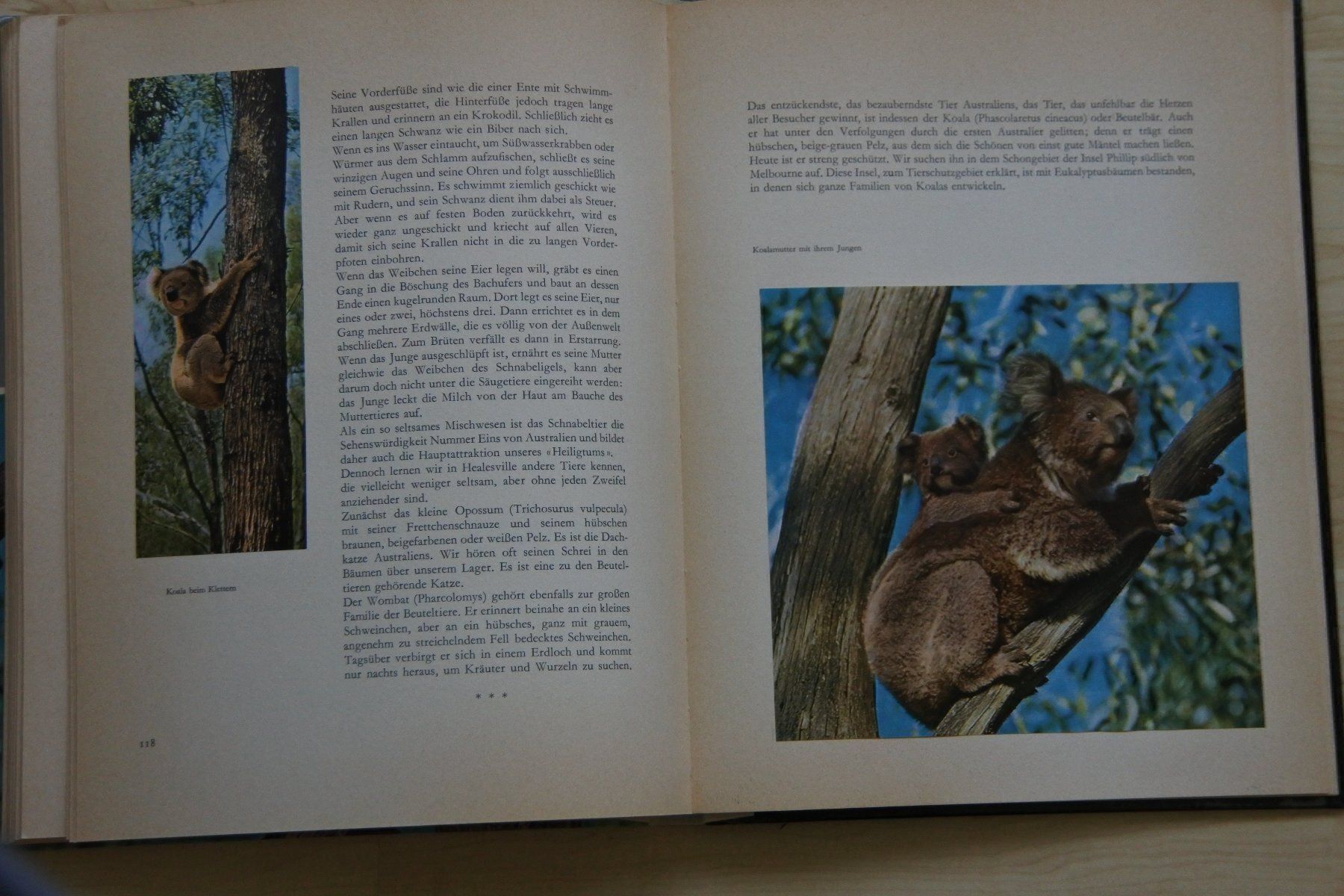 Libri: Bunte seltsame Welt... – Usato da Bäch SZ venduto da Parog 8