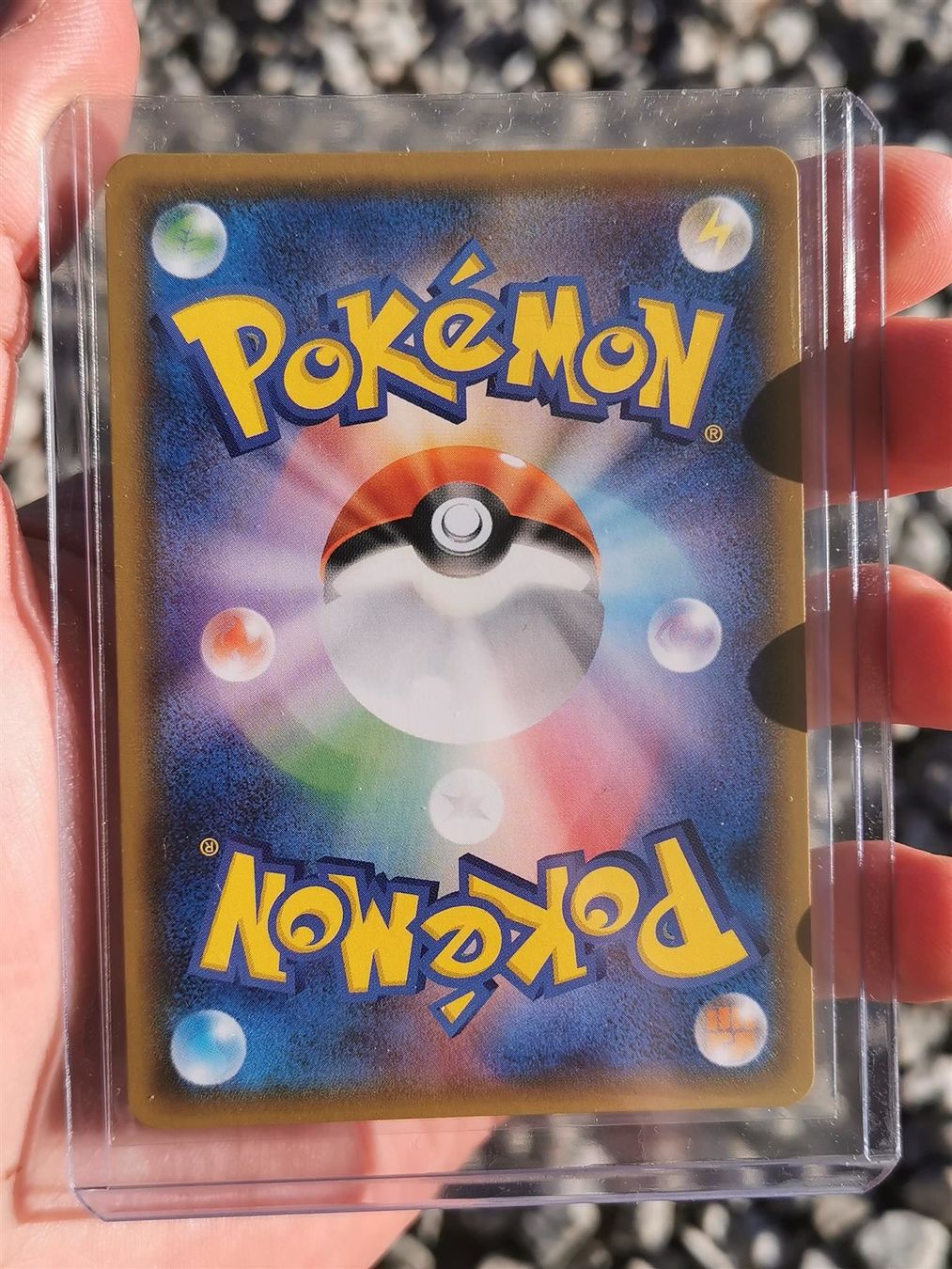 Pokémon Carte collezionabili: [M] Jap. Glurak V Holo – Nuovo (secondo la descrizione) da Widen venduto da Zu-Schlag 1