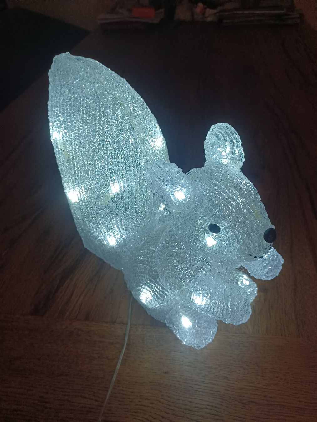 Migros Guirlandes lumineuses: Weihnachtsbeleuchtung Eichhörnchen klein – D'occasion à Egerkingen par John001