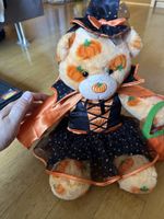 Teddy Halloween selten top 