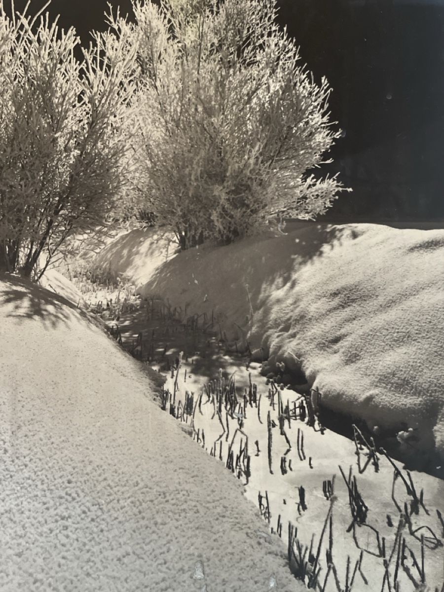 Poster & Bilder: Albert Steiner St Moritz – Gebraucht aus Untervaz von Kunstegga