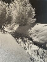 Albert Steiner St Moritz