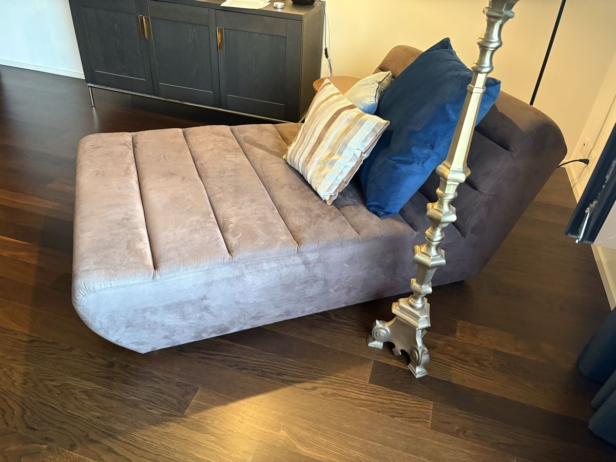 Liegen & Liegestühle: Chaiselounge / Velours / Braun – Gebraucht aus Zürich von seb_8rsb 3