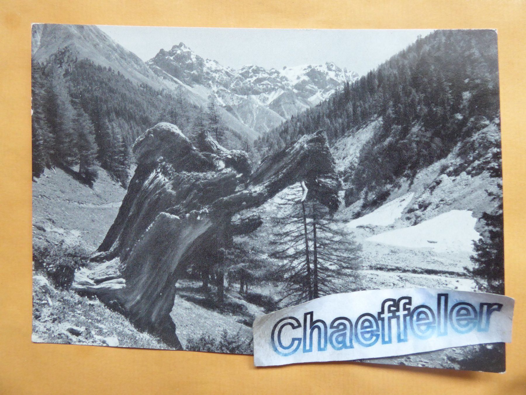 Cartoline postali: 1963 Val Trupchum mit Fiergruppe – Usato da Zürich venduto da Chaeffeler