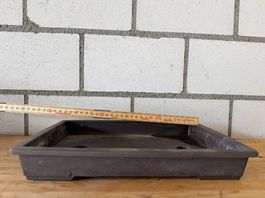 Japanische Bonsaischale rechteckig unglasiert ca. 28 cm