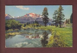 Engadin - Am INN mit Piz Rosatsch