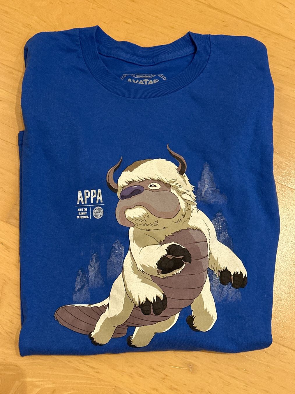 T-shirts: Longshirt Avatar - the last Airbender – D'occasion à Henggart par Pitschli20