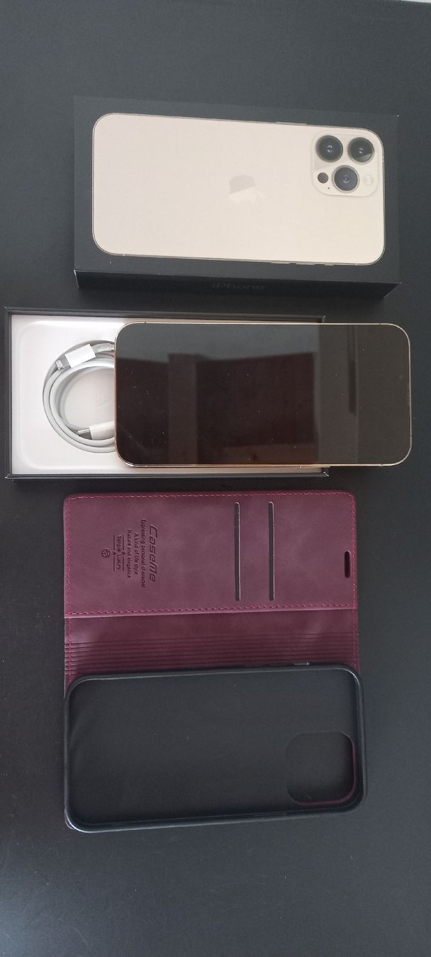 Apple Telefoni cellulari / Smartphones: iPhone13 ProMax 128GB – Usato da Safenwil venduto da Jvinternet