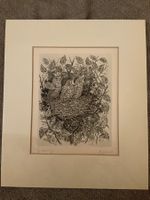 Radierung von Hans Gschwind Vogelnest mit Jungvögel