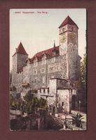 RAPPERSWIL - Die Burg