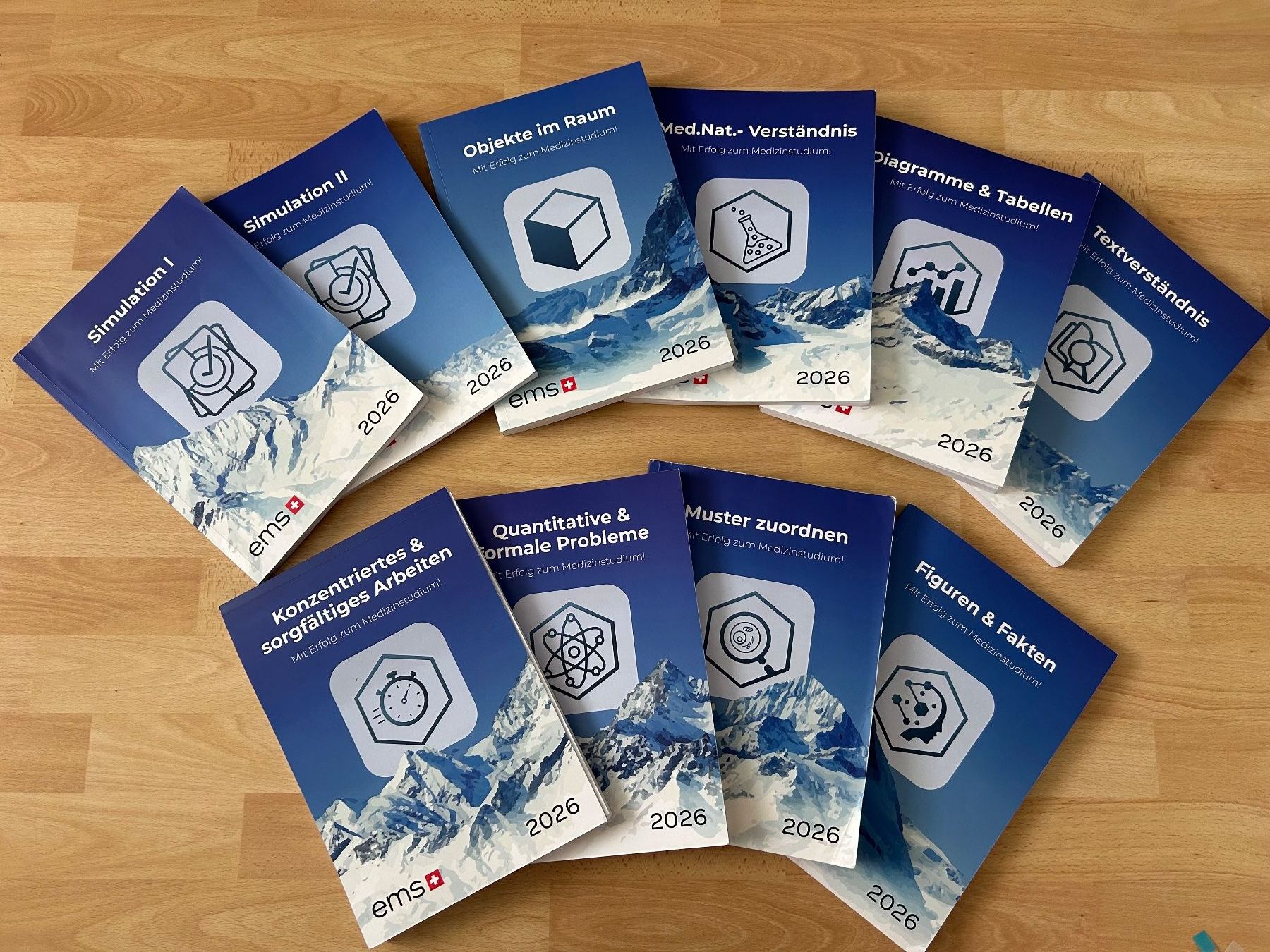 Libri: EMS Coaches Gesamtpaket – Usato da Reichenburg venduto da min123