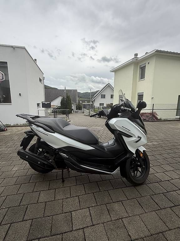 Scooter: Honda Forza 125ccm – Usato da Böckten venduto da jos_sk2m 1