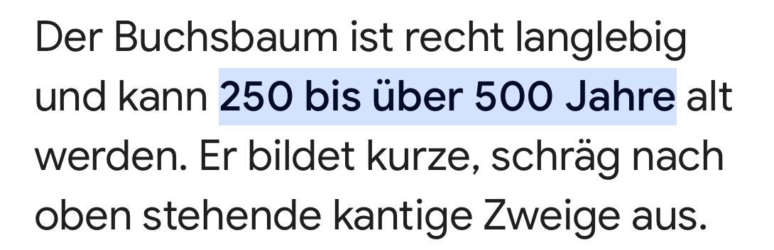 Pflanzen & Samen: Buxus Buchs Buchsbaum Kugelform mit Topf winterhart 30 Jahre – Gebraucht aus Wangen b. Olten von Buntgemischt 6