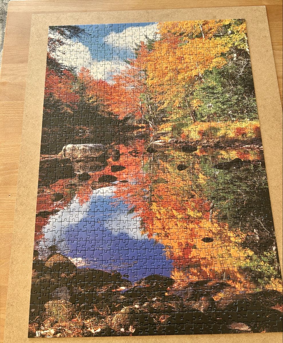 Ravensburger Puzzle: Ravensburger Puzzle 1000 Teile  – Usato da St.Gallen venduto da Willisg 2
