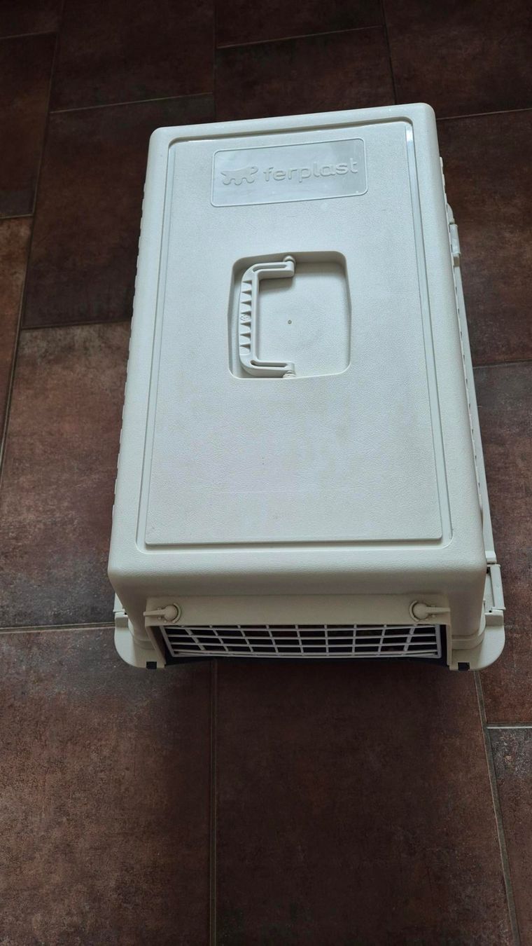 Ferplast Cucce & Letti: Katzen-Hundetransportbox – Usato da Felben-Wellhausen venduto da Thurwid54