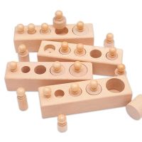 Neu Montessori Wooden Sensory Puzzle