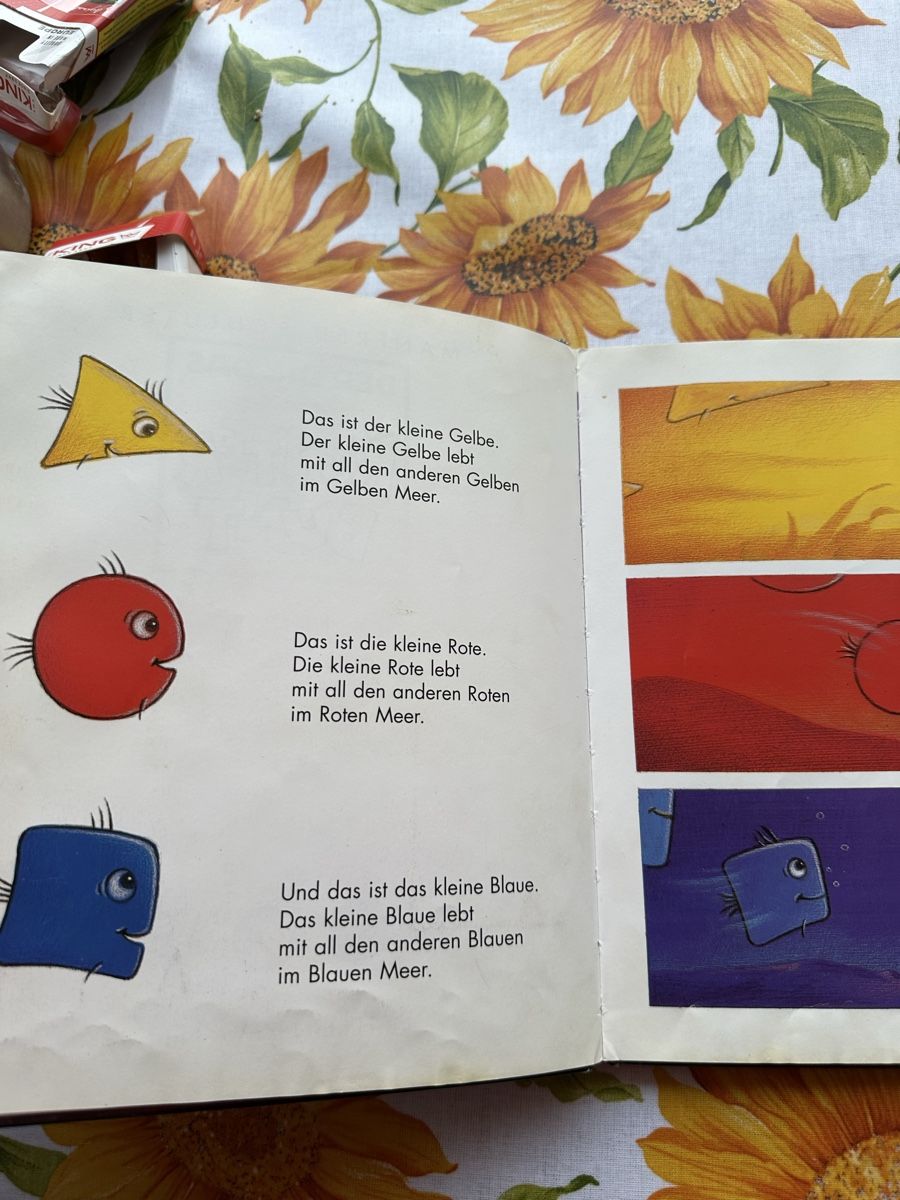 Libri: Kinderbuch "Der die das und Kunterbunt" Manfred Schlüter – Usato da Wettingen venduto da hak_52m8 3