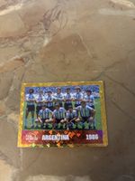Panini Bild FWC14