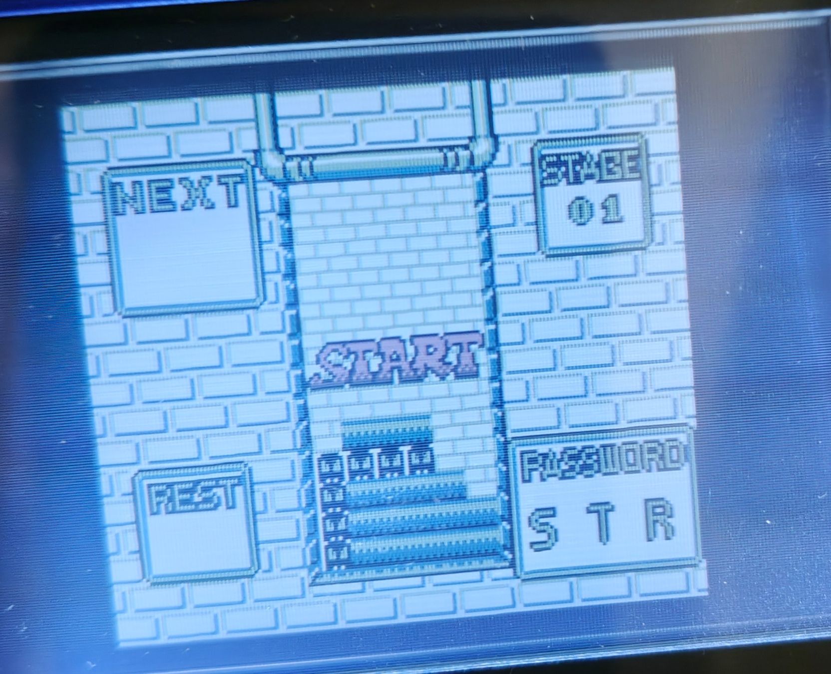 Nintendo Giochi: Nintendo Gameboy - Pac Panic (Gameboy Modul) - englisch – Usato da Muttenz venduto da IkaSul 3