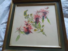 Aquarell Flower Jo. 58