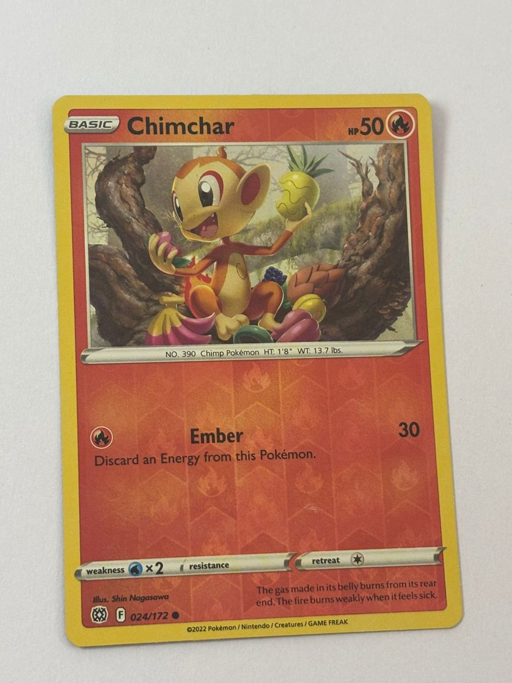 Pokémon Carte collezionabili: Pokemon-Karte Chimchar 024/172 – Usato da Herisau venduto da Seyashop1
