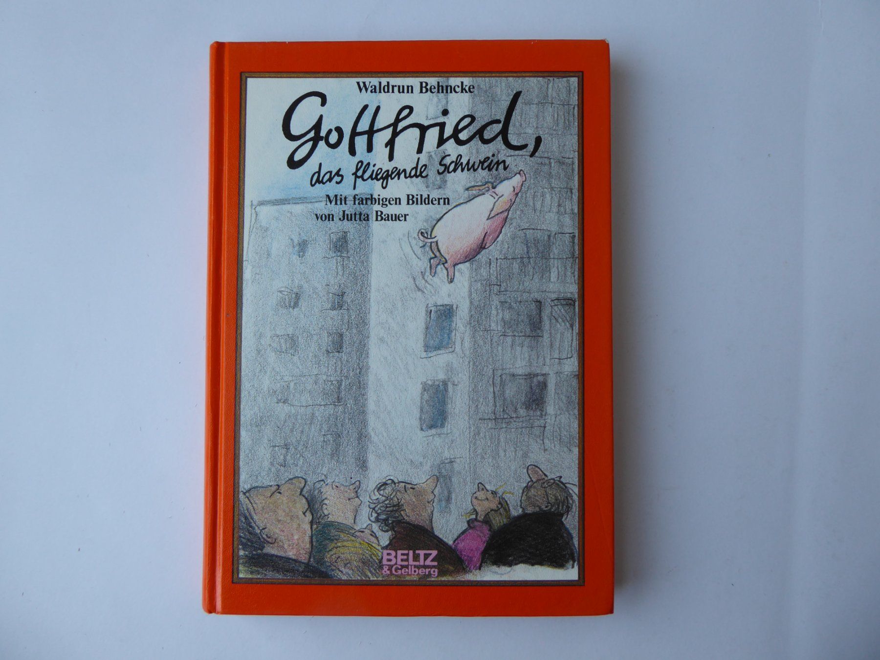 Bücher: Kinderbuch Gottfried das fliegende Schwein, W. Behncke – Gebraucht aus Turbenthal von Panau
