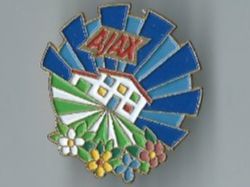 Placchette & Badge: Ajax Pin – Usato da Zürich venduto da t24_de