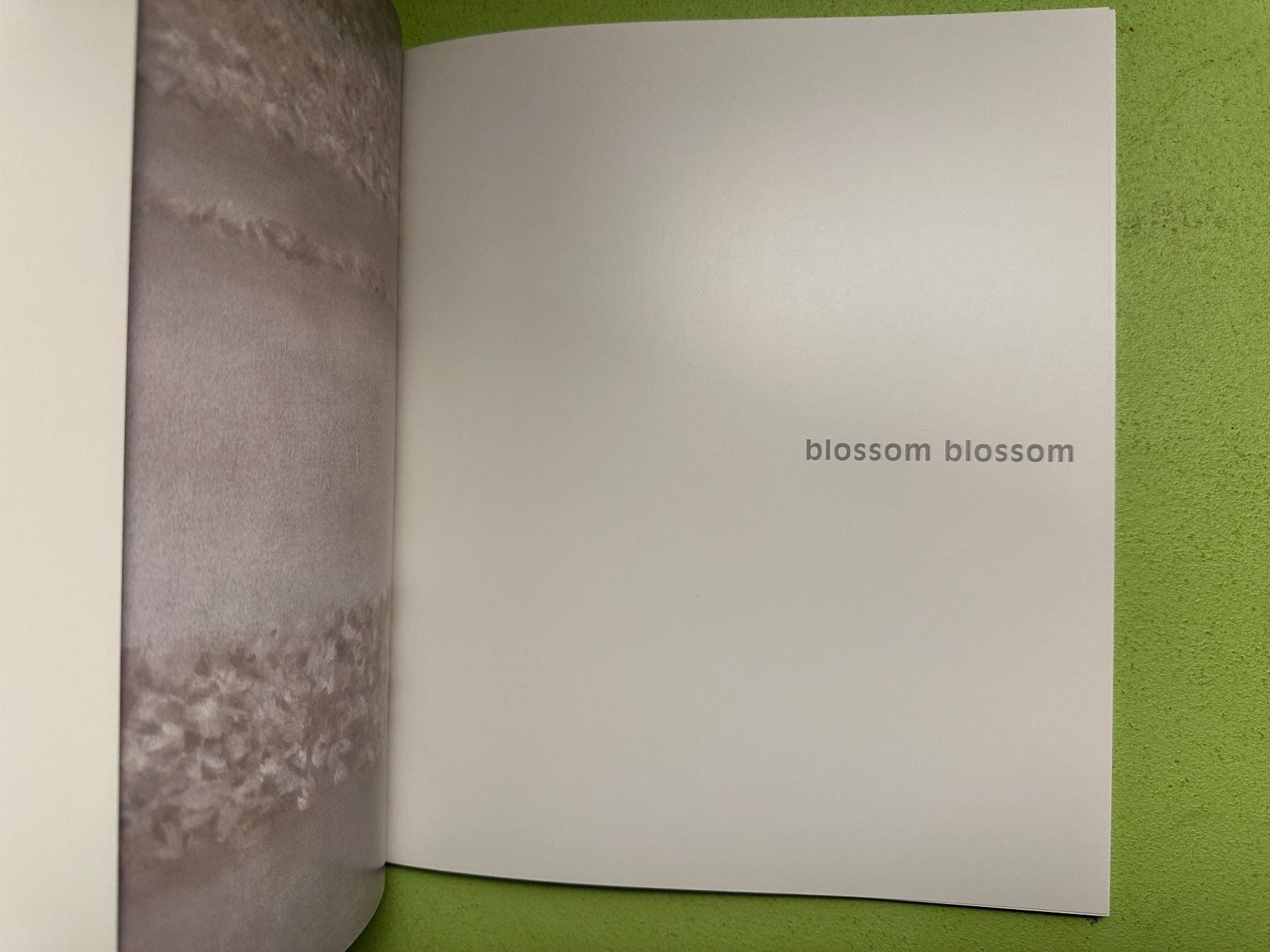 Libri: Angela Lyn: blossom blossom. – Usato da Zürich venduto da allp 1