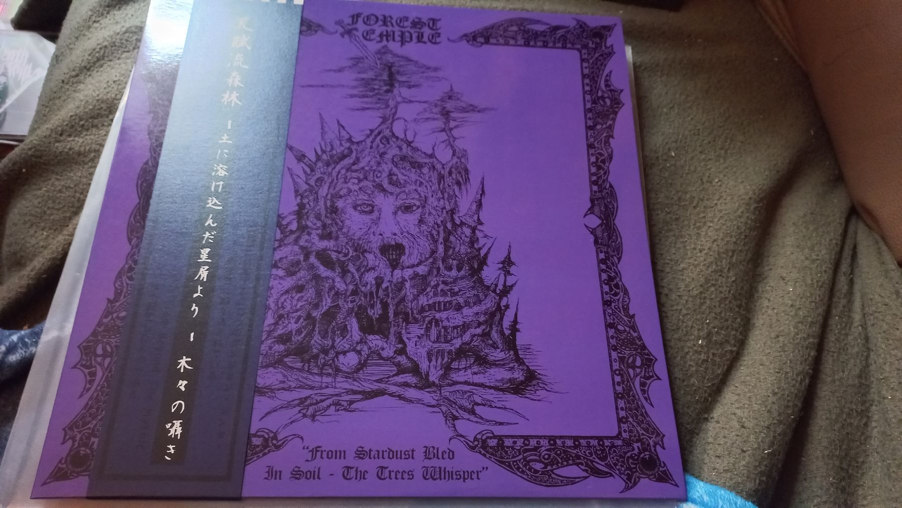 Vinyles: Forest Temple "From Stardust...Vinyl LP Dungeon Synth  – D'occasion à Olten par Donatello1984