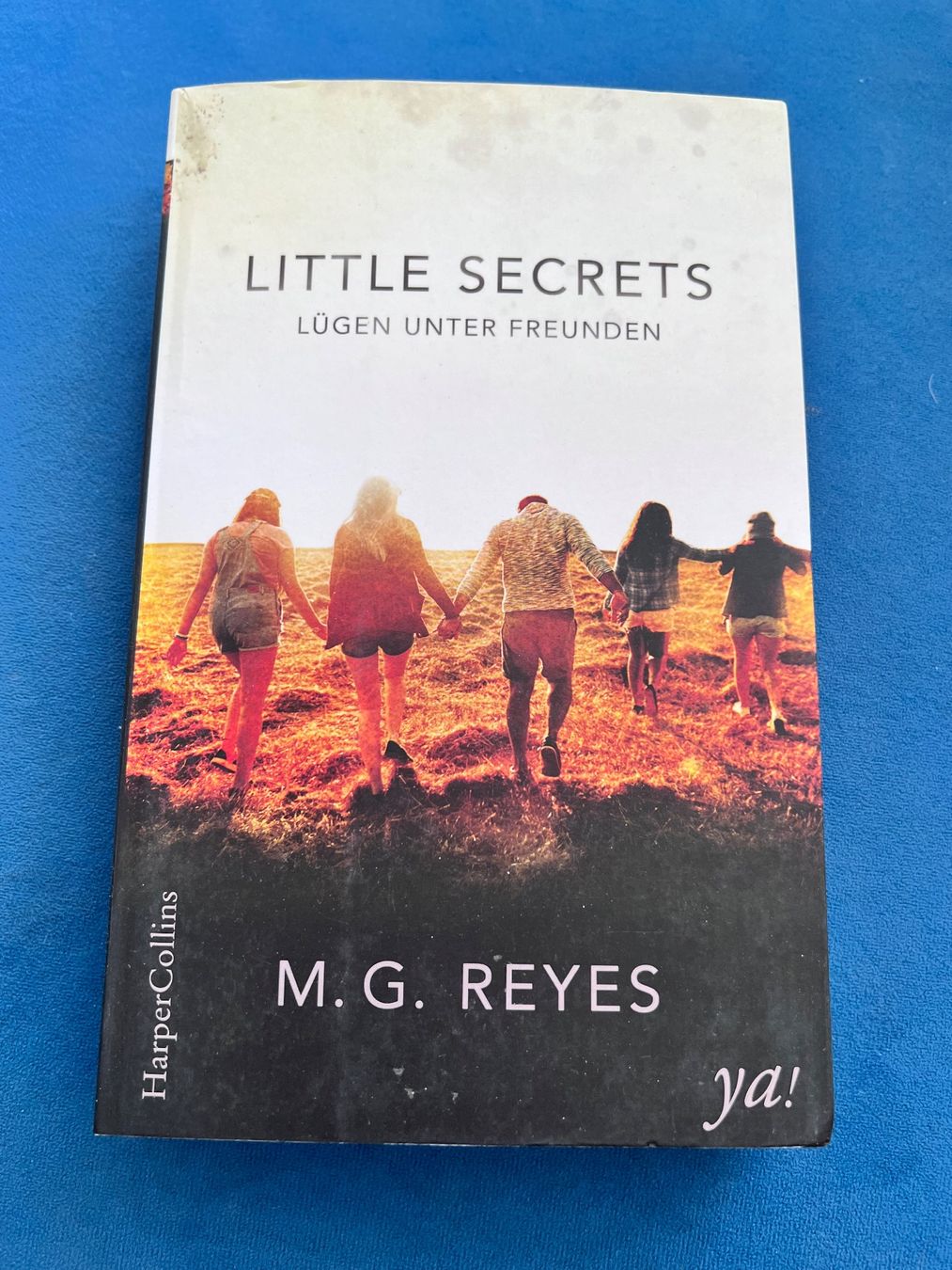 Libri: Buch - little secrets - roman – Usato da Effretikon venduto da YaMn