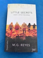 Buch - little secrets - roman