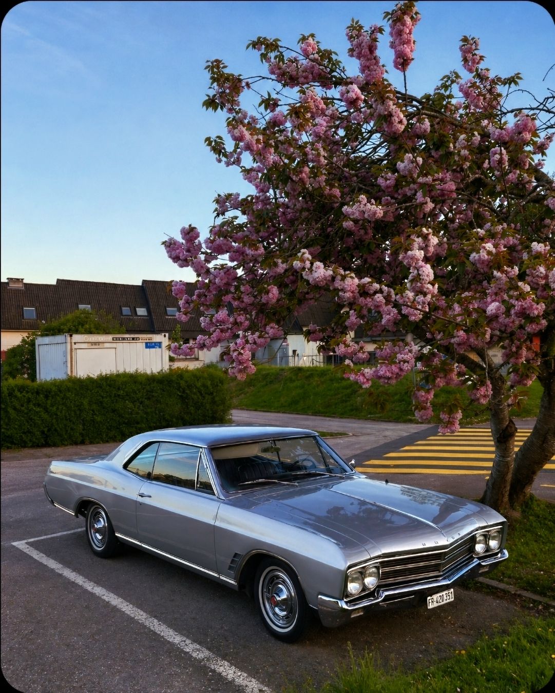 Buick Autos: Buick V8  – Gebraucht aus Corserey von Borisstrahm 5