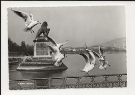 AK ca.1950 Zürich Hafeneinfahrt- Gilt das als Flugaufnahme ?