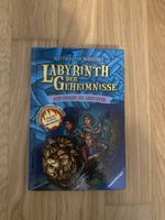 Buch Labyrinth der Geheimnisse