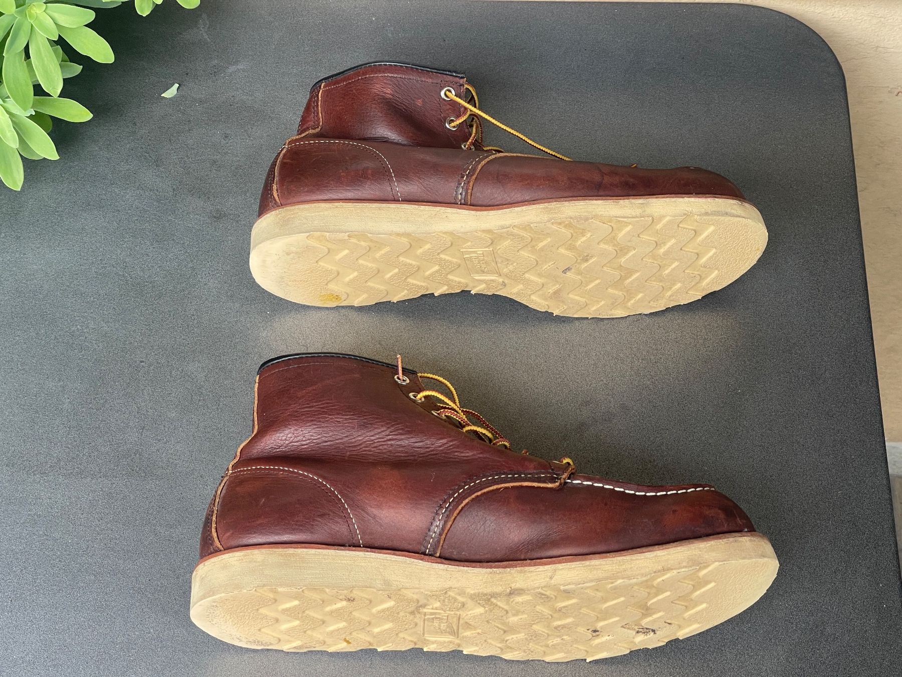 Red Wing Scarpe da uomo: Redwing Moc Toe – Usato da Zürich venduto da Daidsy 2
