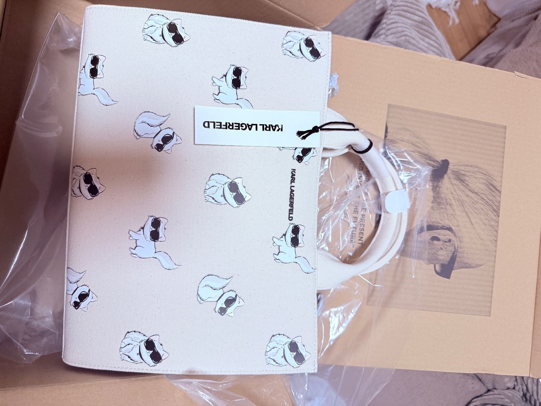 Sacs femmes: KARLLAGERFELD bag – D'occasion à Wängi par mis_dr8f