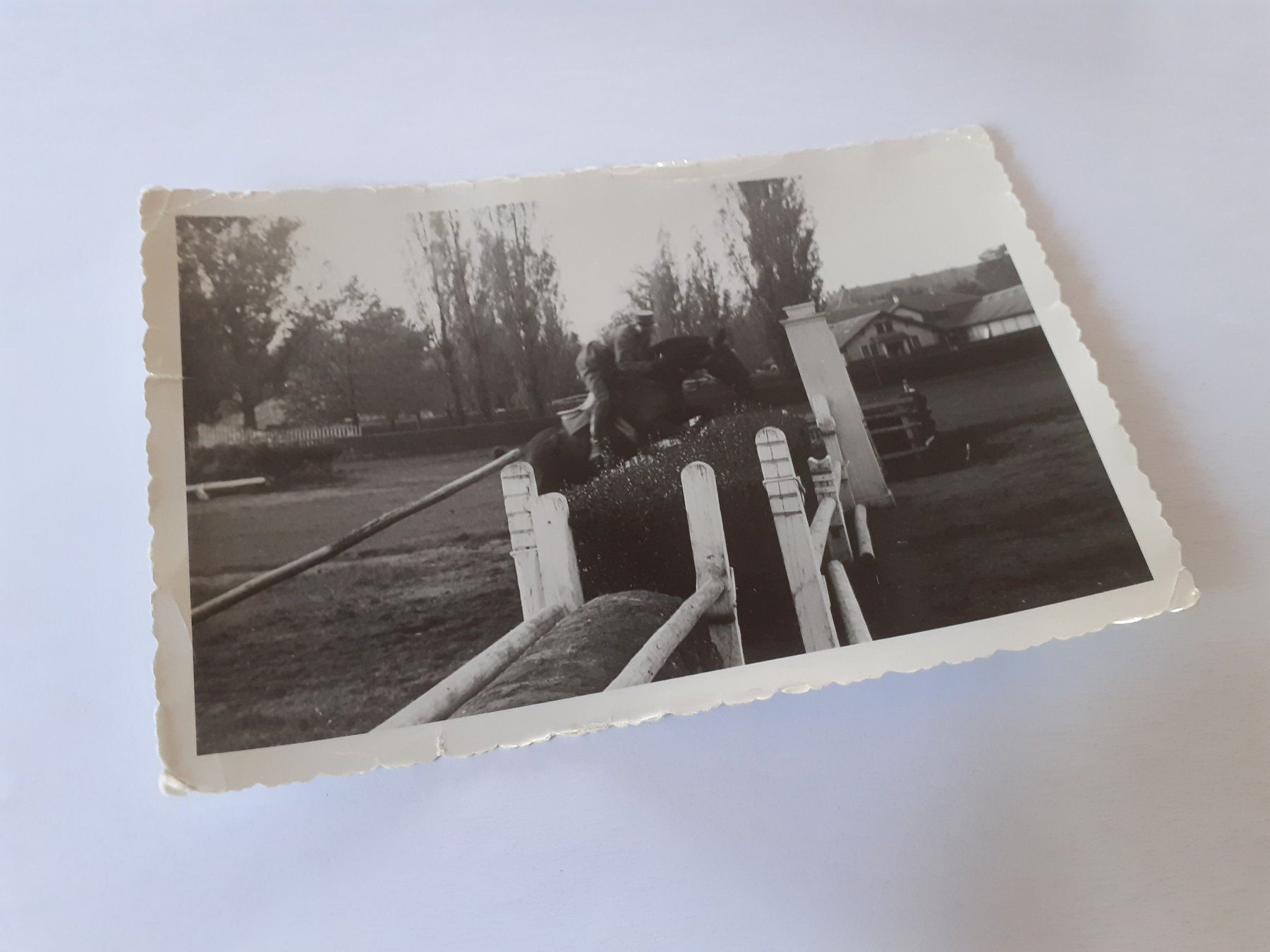 Foto & Immagini: MILITAER - SPRINGREITER in UNIFORM – Usato da Winterthur venduto da Ornyx7